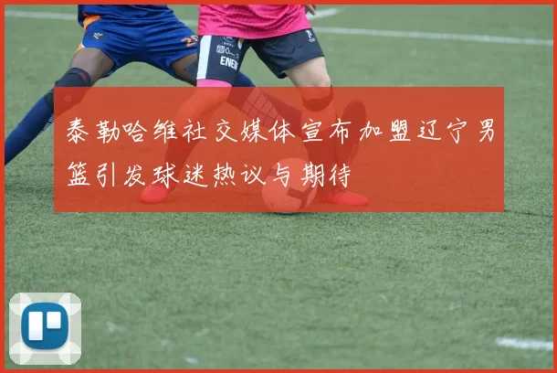 泰勒哈维社交媒体宣布加盟辽宁男篮引发球迷热议与期待